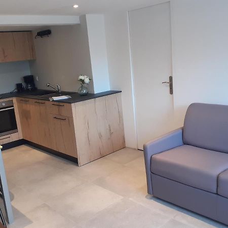 Logement Entier 4 Personnes Villefranche Sur Saone Экстерьер фото